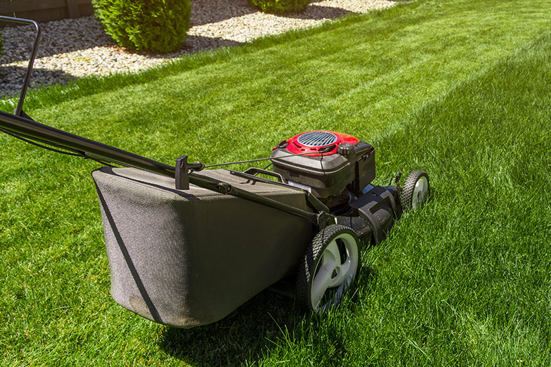 Rasen pflegen und mähen, Laub entfernen Marl und Recklinghausen