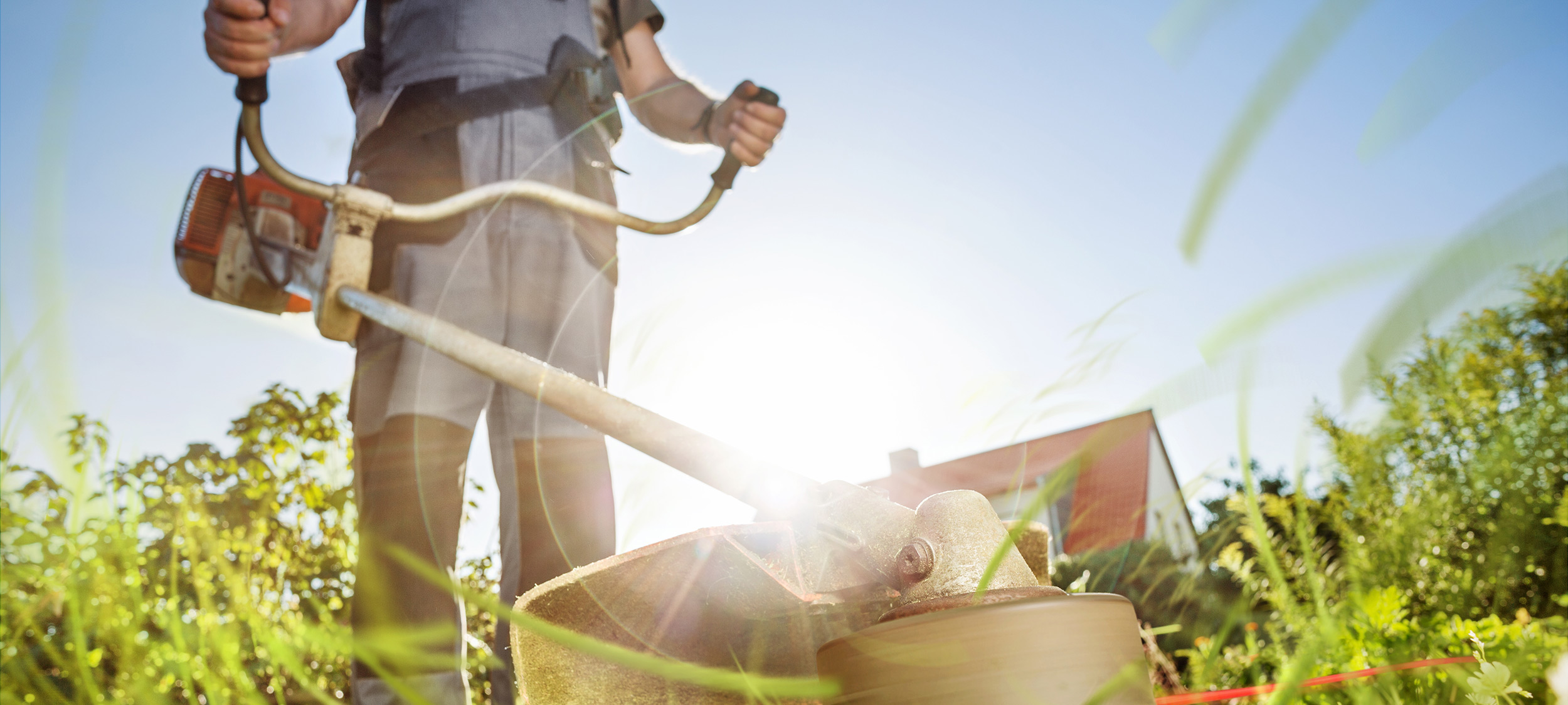 CK-Service - Gebäude und Garten | Header 1